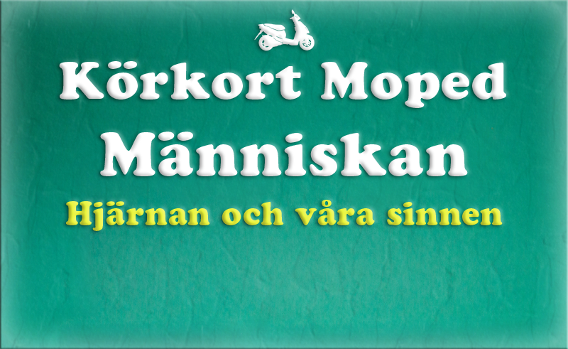 Gratis teoriboken: Människan / Hjärnan och våra sinnen