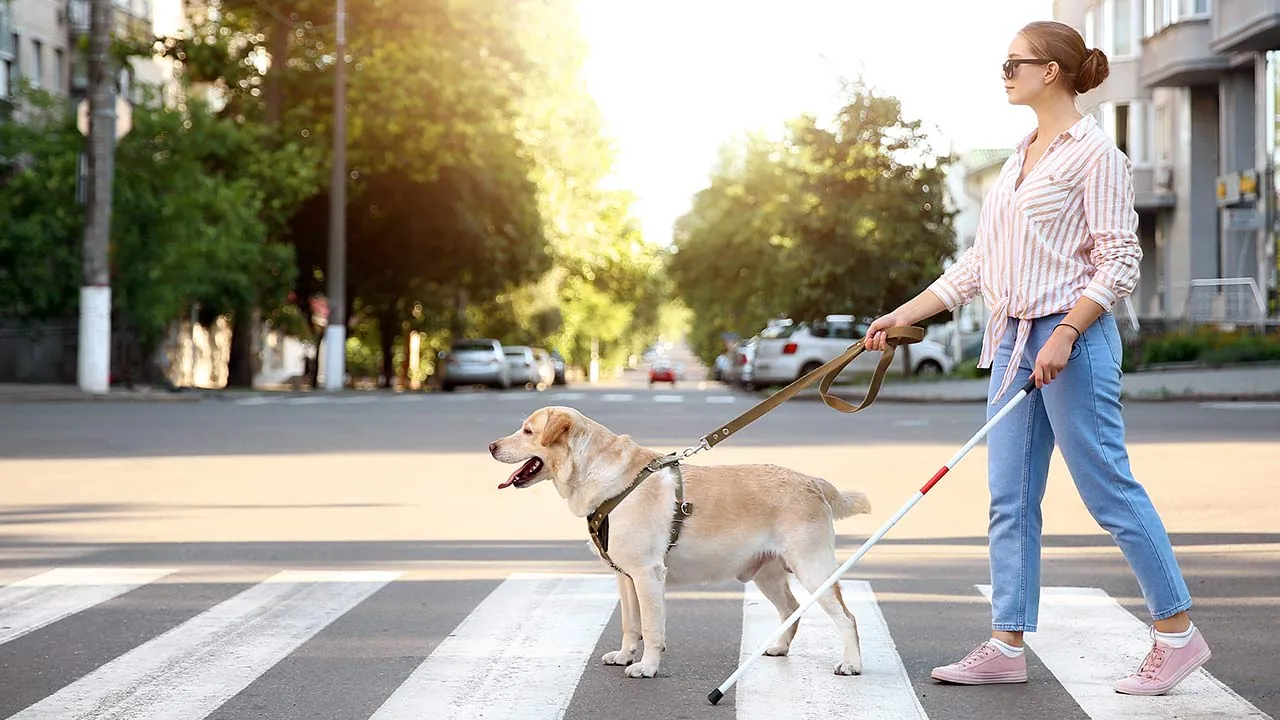 Oskyddade trafikanter – Synskadade
