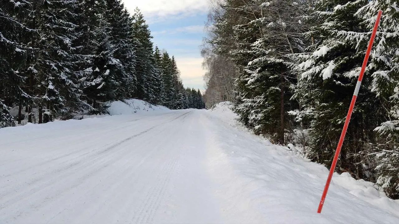 Vinter- och halkkörning – Plogade vägar